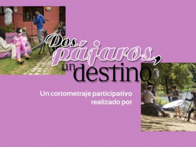 Video participativo Dos flamencos, un destino