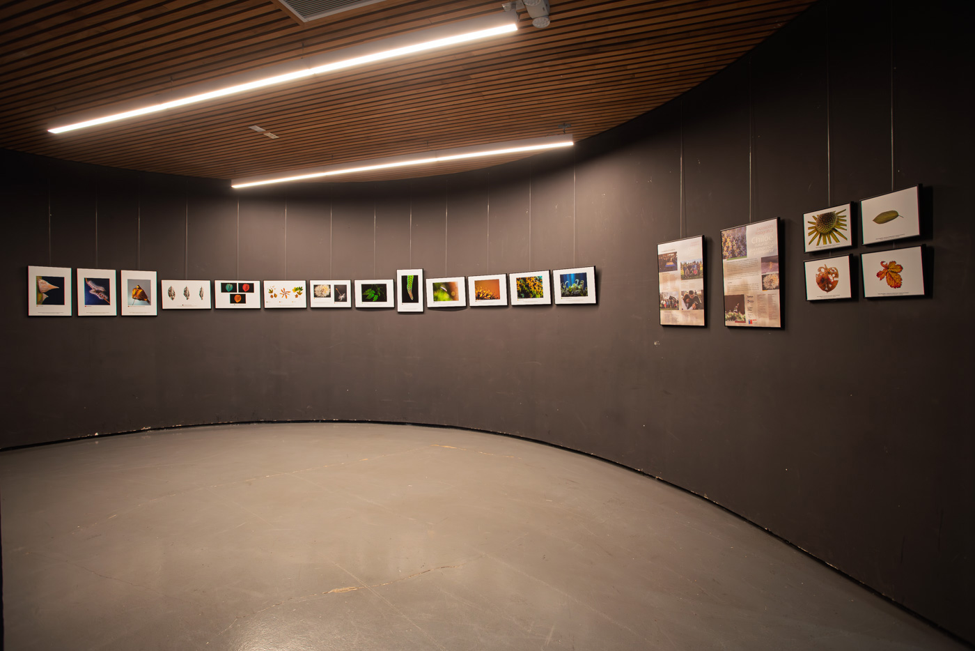 Exposición-Cecrea