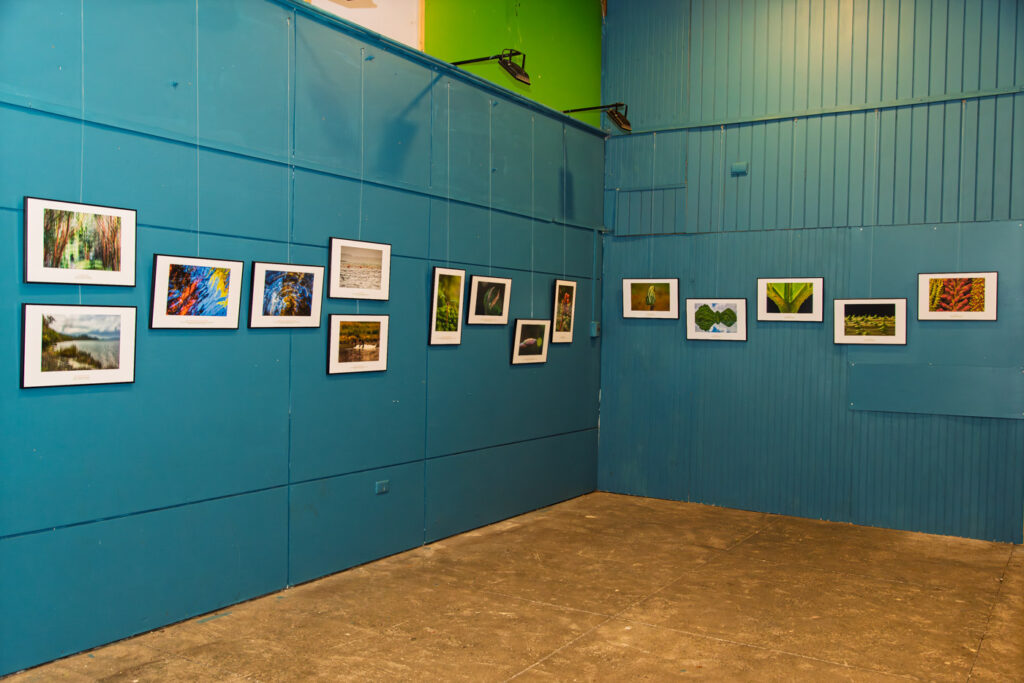 Exposicion_Naturaleza para expresar y compartir_Castro-3